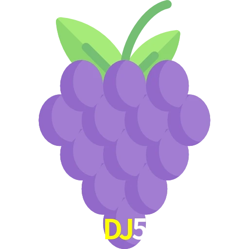 DJ5